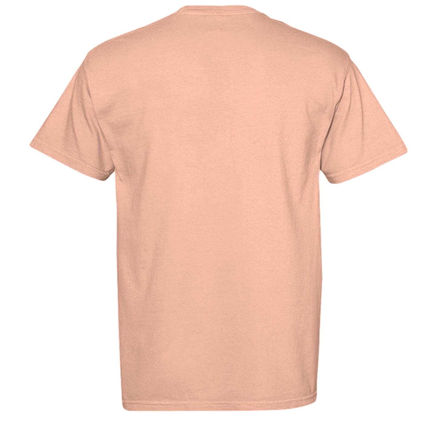 Neon Cantaloupe - C1717 - BACK