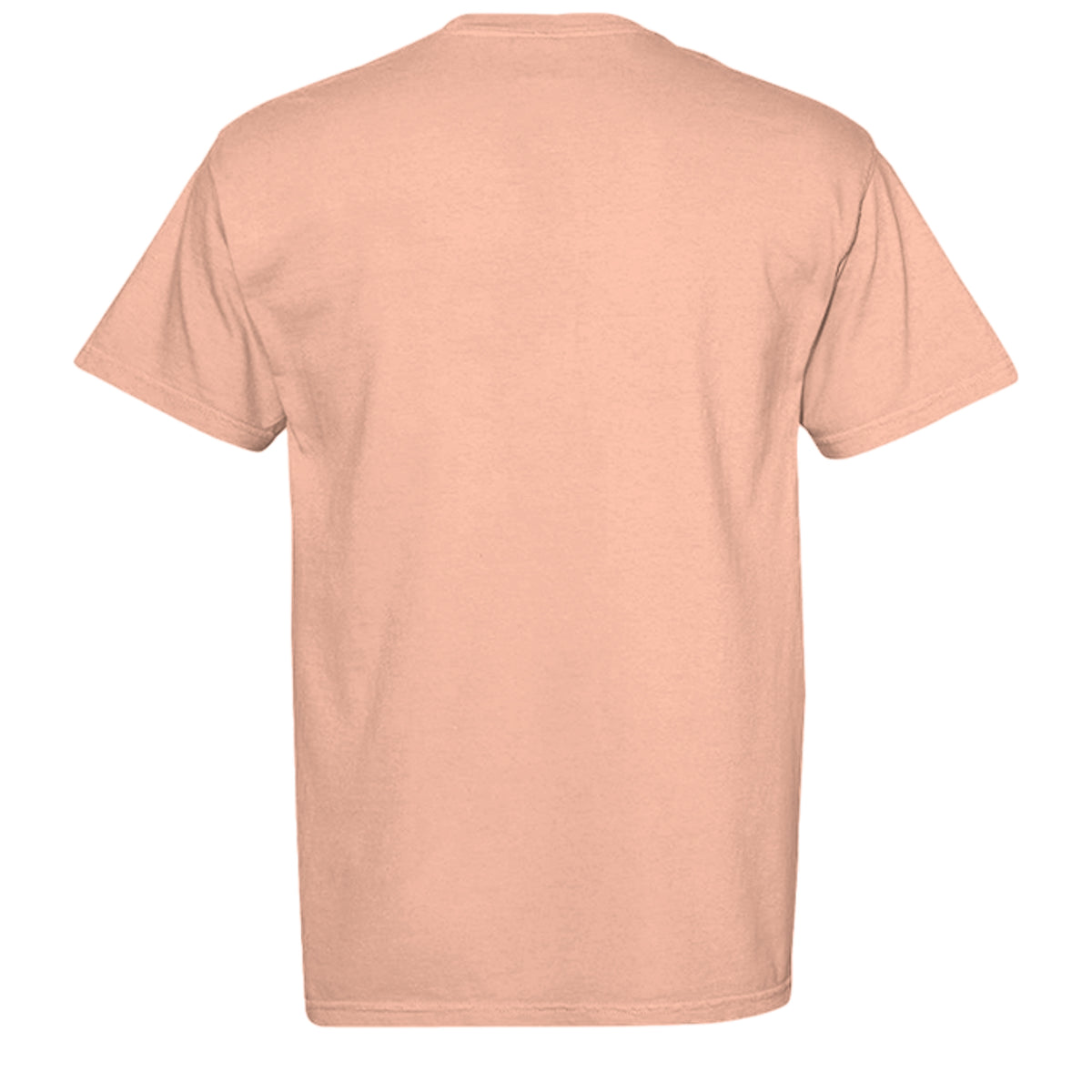Neon Cantaloupe - C1717 - BACK